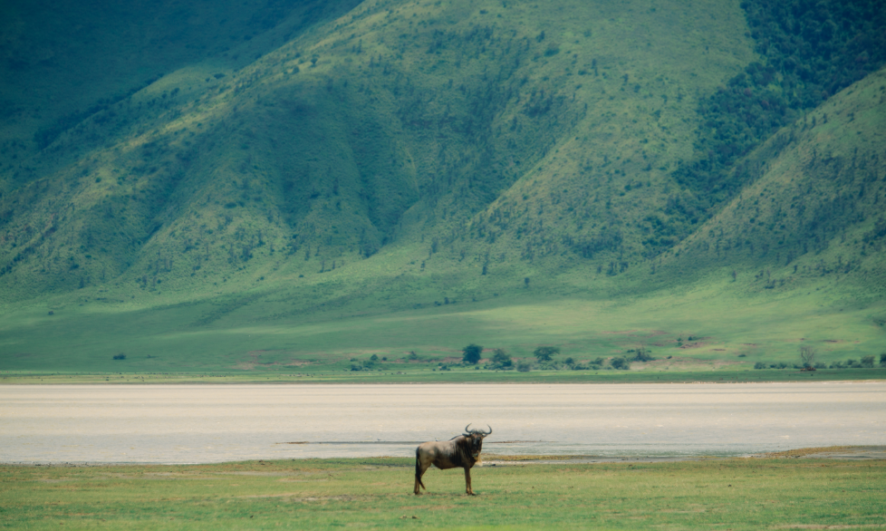 The Magic of Family Travel in Ngorongoro