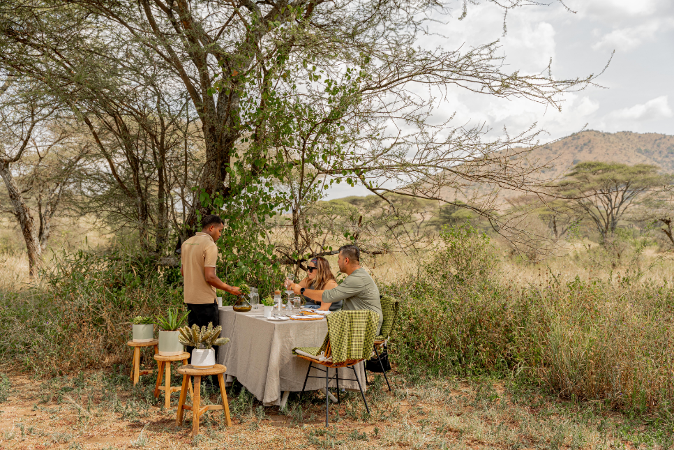 What Are the Best Family Travel Tips for a Safari Adventure?