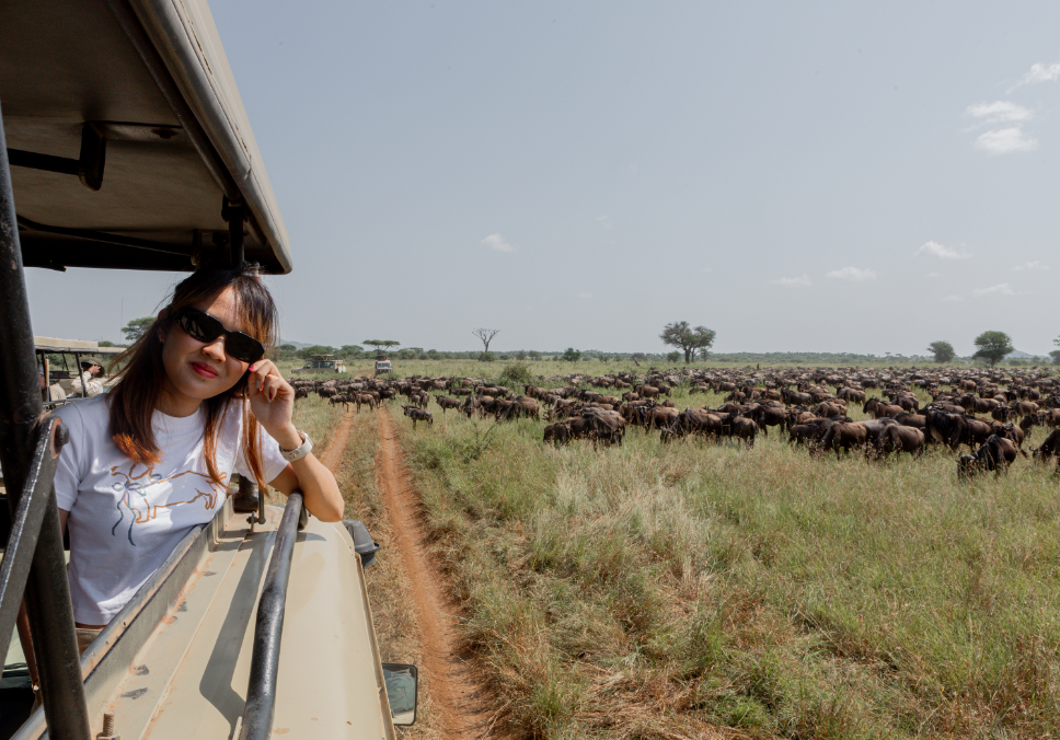 enjoying wildebeests Migration During Serengeti Tours