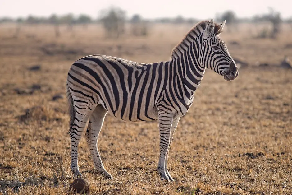 7 Astonishing Facts About African Wildlife You Didn't Know