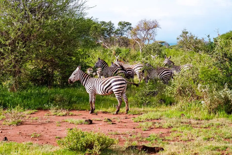 20 Must-See African Wildlife Destinations
