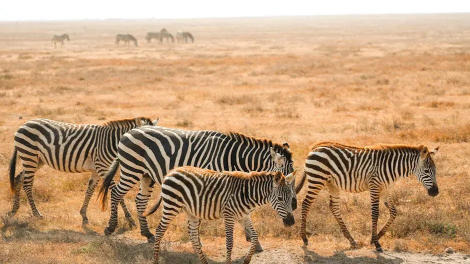 20 Unforgettable African Wildlife Experiences to Add to Your Itinerary
