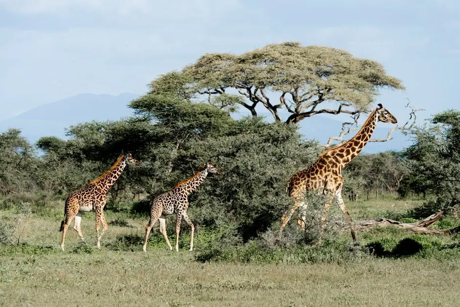 10 Must-See African Wildlife Experiences in Tanzania