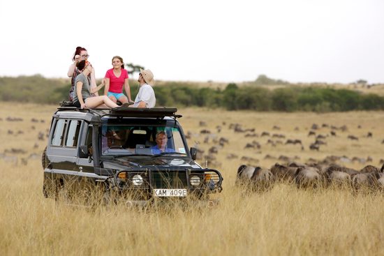 1768909081275-8 Days Kenya Family Safari Vacation and Wildlife Viewing