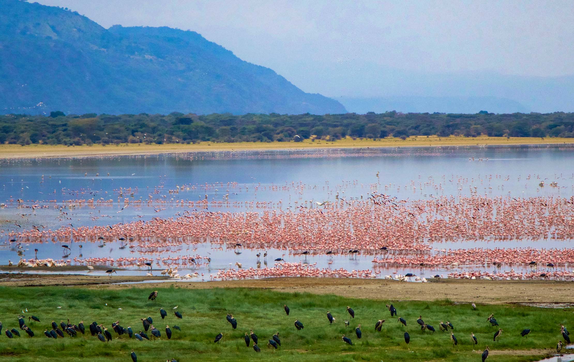 lake-manyara-1